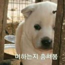 궁금 이미지