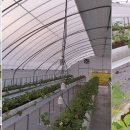 우적농장 이미지