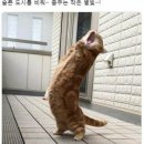 낭만곱창 - 보령시 중앙로 267 | 낭만곱창