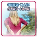 강철병원 이미지