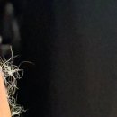 해바라기 애견 | 홍천 애견동반 펜션 반스힐리조트 3BARN 솔직 후기(아기·반려동물 동반 비추천)