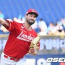 화이트7 이미지