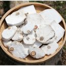 보양제약 이미지