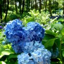 영광 매간당 고택 이미지