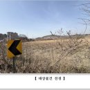 신도리-5 이미지