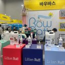 보벨디자인