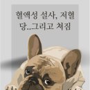 금샘동물병원 이미지