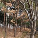 구봉산근린공원 배드민턴장 이미지