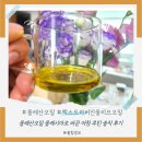 루틴 - 부평구 시장로 20 | 올레산오일 올레시아로 바꾼 아침 루틴 솔직 후기