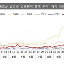 마이코 이미지