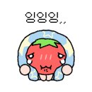 쌉쌀싸롱 이미지