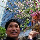 표씨농장 이미지