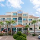 오션팔레드 이미지