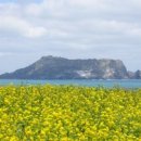 대풍목장 이미지