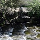 지상낙원 이미지