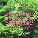 법인장성편백향토사업단 | 장성 (주)첨단환경의 화학 소독탈취제를 대체하는 천연물 '피톤치오 편백 오일수'