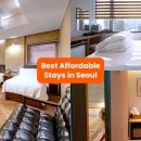HOTEL STAY 318 | 💸 가성비 숙소 &amp; 맛집 추천: 합리적 여행을 위한 완벽 가이드