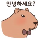 과일다움 이미지