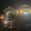 스테이카멜7 이미지