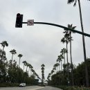 아연카랜드 | 미국 서부 여행 🇺🇸 - 6(LA / LA 디즈니랜드 tier 5 후기)