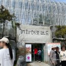 충남 보령 &lt;개화예술공원&gt; 산책하고 사진찍기 좋은 허브랜드, 리리스 카페 내돈내산 후기