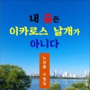 내 꿈은 이카로스 날개가 아니다 (전자책) 이미지