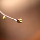 건원농장 이미지