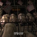 현재축산 이미지