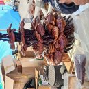 핵잠수함에 대한 의도된 발언 오히려 영남권 지지 끌어내..오래된 당파싸움 정리될 듯... 이미지