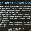 늠내길 2코스 갯골길 Daum카페