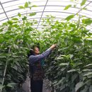 버드네농장 이미지