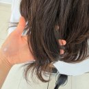 아슈드헤어살롱 부천시청점 기장 추가 없는 부천헤어샵 은성 디자이너님 클리닉 후기