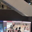 하하공주몰 | 칭다오 믹스몰 홀리랜드 수건케이크 위치 / 와우뷰티
