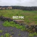 우도공인중개사사무소 이미지