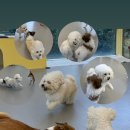 헬로우버디 광교점 이미지