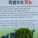 채민경월드흑염소나라 이미지