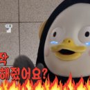 개모임 이미지