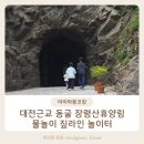 대전 근교 동굴 장령산자연휴양림 물놀이 짚라인 놀이터 있음