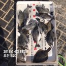 안혁진프로피싱샵