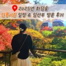 광주지방기상청 | 용인 화담숲 예약방법 단풍 시기 일정(2025) &amp; 임산부 방문 후기🍁