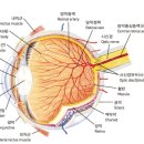 맑은 동물병원 이미지