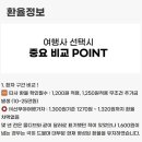지인여행사 이미지