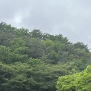누구나반한홀닭