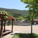 팔영산오토캠핑장 이미지