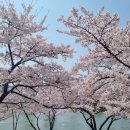 접도가든 | (2. 베뉴투어) 잠실 롯데호텔월드 웨딩, 크리스탈볼룸 상담후기 (23년 계약0, 소공동롯데와 비교)