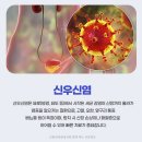 은천동-38 네이버블로그