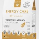 이가소프트 이미지