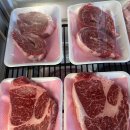 안산 반달섬 맛집 청류옥 정육점 오픈이벤트 2일차｜한우 등심·새우살 직접 구매 후기