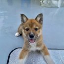 다루동물병원 이미지