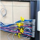 대성네트워크 이미지